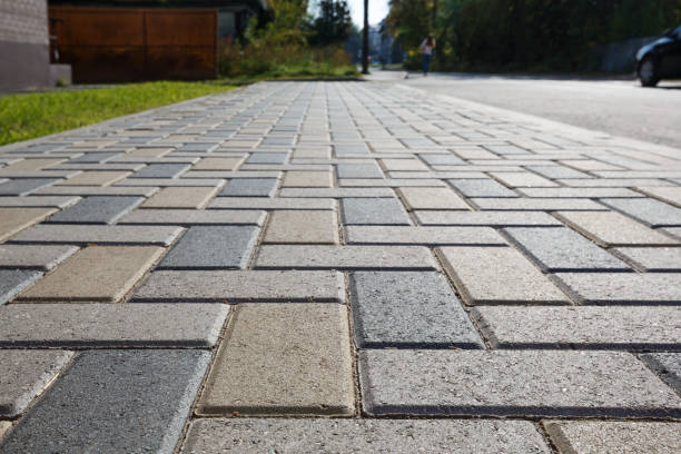 Best Affordable Driveway Paving  in Waseca, MN