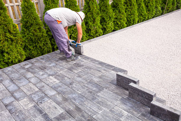 Best Local Driveway Pavers  in Waseca, MN
